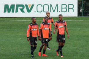 treino galo