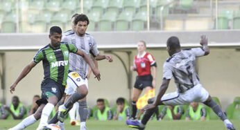 Em jogo festivo, Botafogo encerra temporada na série B.