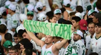Penso, logo sou Palmeiras