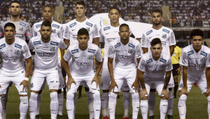 O Santos teve próximo de garantir a vaga da Libertadores de 2016, após um ano conturbado, onde a zona do rebaixamento esteve próxima.