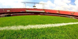 Novo gramado. Foto: Fernando Vidotto )
