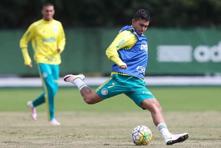 Um quebra-cabeça chamado Palmeiras.