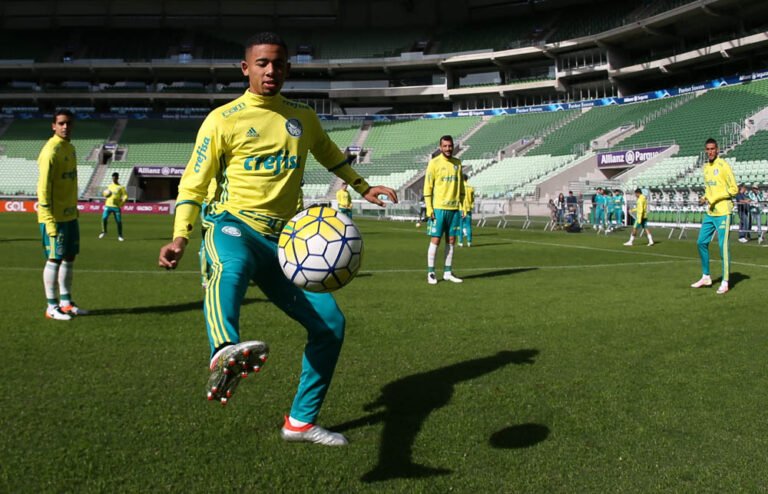 Palmeiras recebe o Santa Cruz no Allianz Parque com promessa de bom público