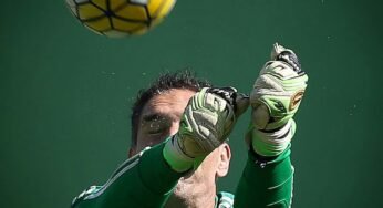 Contra o Sport, Palmeiras vai em busca de melhor rendimento fora de casa.