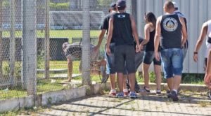 Invasao-de-torcida-ao-ct-do-corinthians-01-02-14-615x340