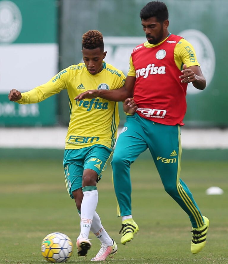 Após duas derrotas seguidas, Palmeiras busca voltar a liderança