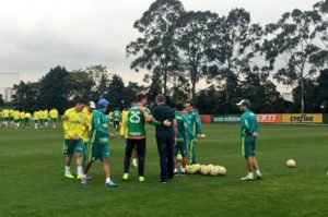 Cesar Greco/Ag PAlmeiras