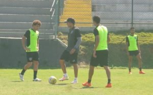 atividade técnica no Botafogo