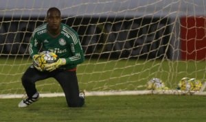 O goleiro Jailson, da SE Palmeiras, durante treinamento, na Arena Fonte Luminosa.