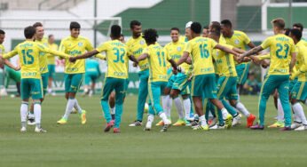 Não vai ser fácil, Palmeiras enfrenta o Inter em casa