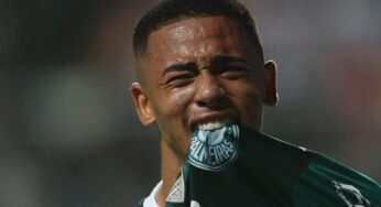Botafogo quer estragar a festa do líder Palmeiras
