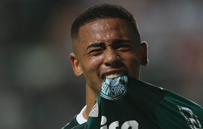 Botafogo quer estragar a festa do líder Palmeiras