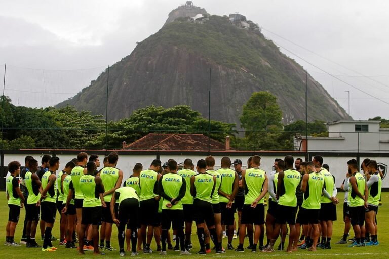 Botafogo já planeja 2017