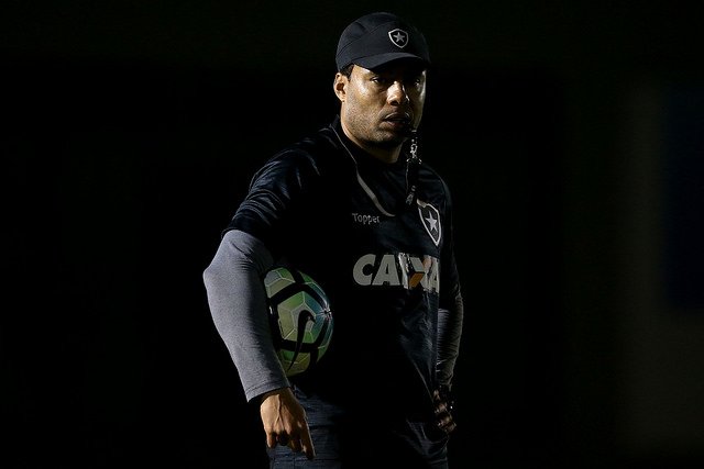 Mirando G-4, Botafogo encara o Avaí