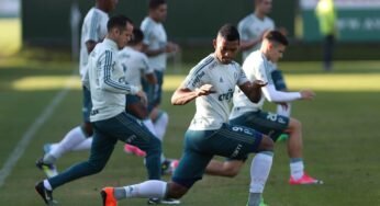 Palmeiras enfrenta Ponte Preta em Campinas, em rodada do Campeonato Brasileiro