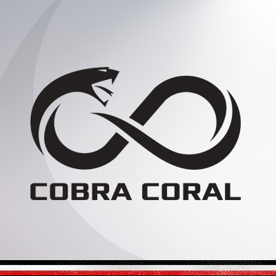 Os números da promissora marca Cobra Coral