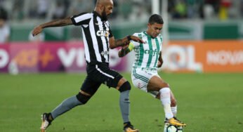 Palmeiras recebe o Botafogo em partida com certo valor para os dois clubes