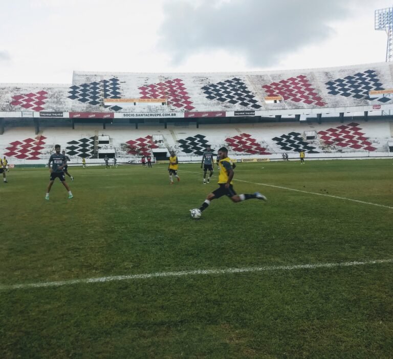 Santa Cruz realiza a primeira movimentação aos comandos de Roberto Fernandes