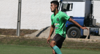 Vinicius Araujo faz balanço de 2018