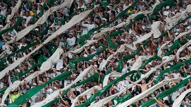 Palmeiras libera ingressos com preços populares, após protesto de seus torcedores.
