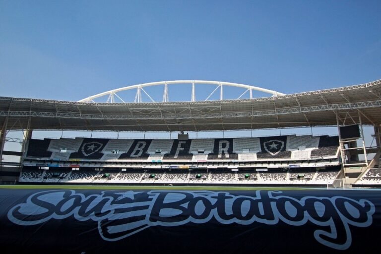 Qual será o futuro do Botafogo?