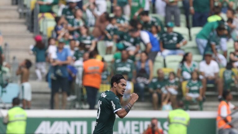 Na estreia do novo gramado, Verdão vira contra o Mirassol