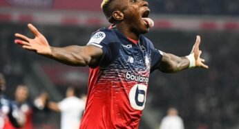 Tottenham e Napoli miram contratação de promessa do Lille