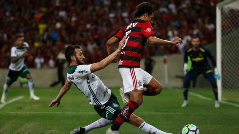 Brasileirão: Flamengo pede adiamento da partida contra o Palmeiras