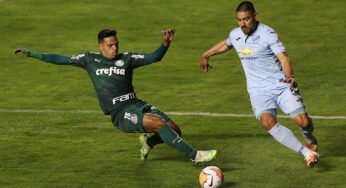 Palmeiras busca classificação na Libertadores