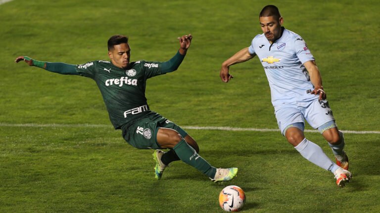 Palmeiras busca classificação na Libertadores