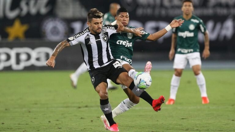 Palmeiras joga mal, perde para o Botafogo e invencibilidade chega ao fim