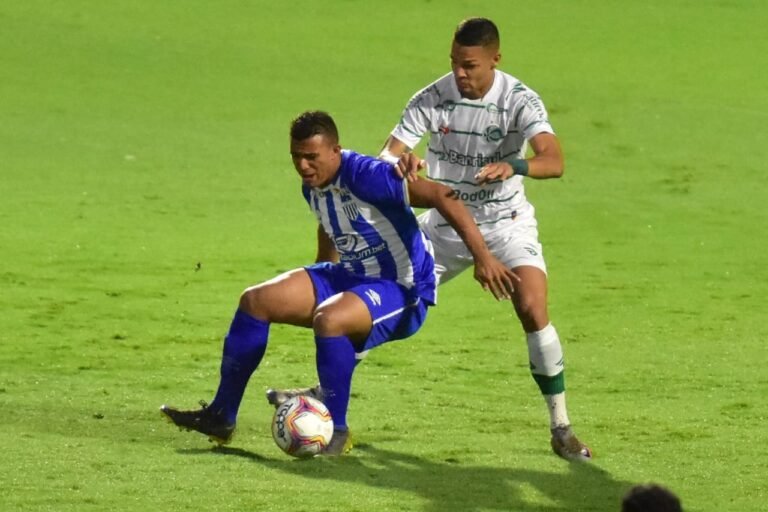 Avaí sonha com acesso