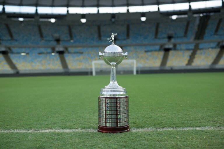 Final da Libertadores: Rumo a glória eterna. A histórica final entre Palmeiras e Santos