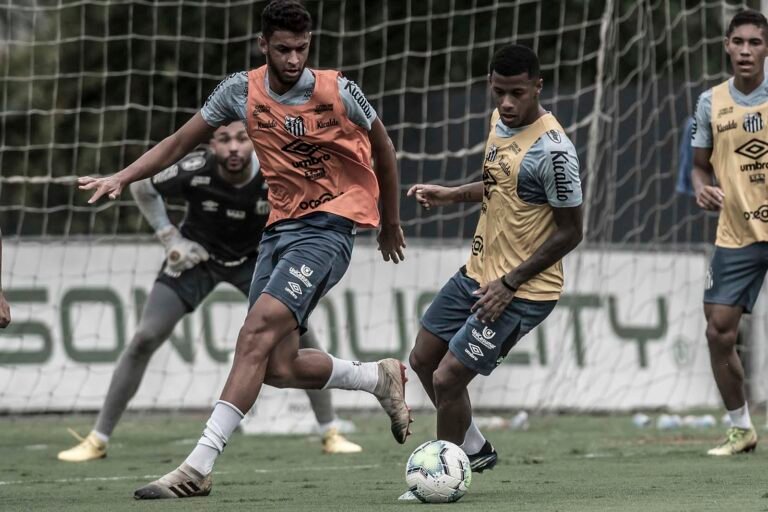Por vaga na Libertadores/21, Santos vai a campo com várias mudanças contra o Grêmio