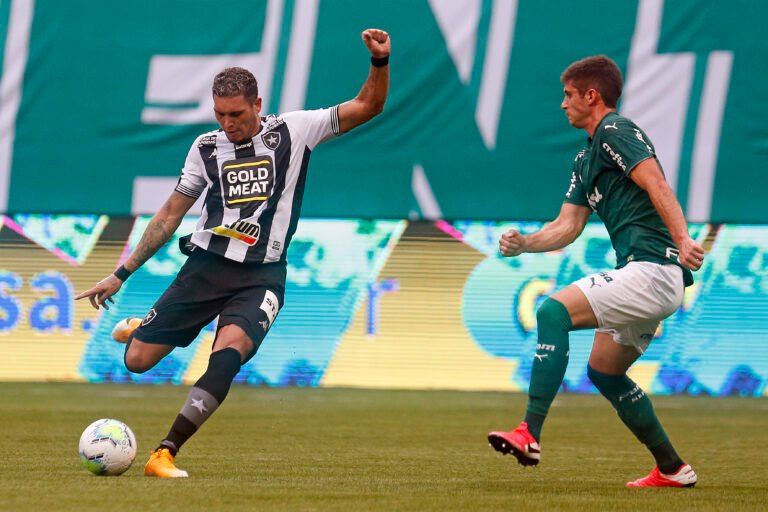 Em jogo de times alternativos, Botafogo empata com Palmeiras