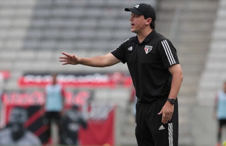 Botafogo procura Fernando Diniz para ser o novo comandante