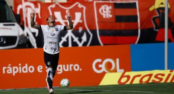 Vina pode ir para o Corinthians