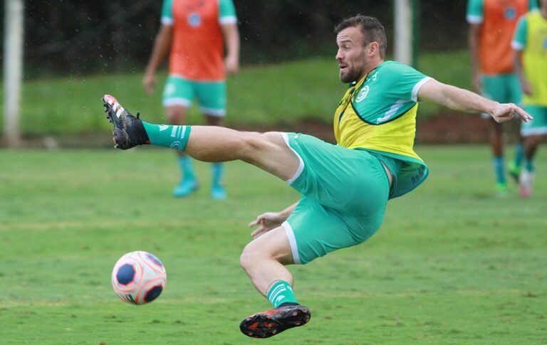 Goiás enfrenta rebaixado Botafogo para não ter mesmo destino