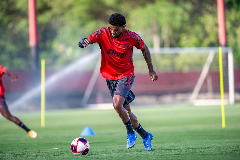 Foto: Marcelo Cortes / Flamengo