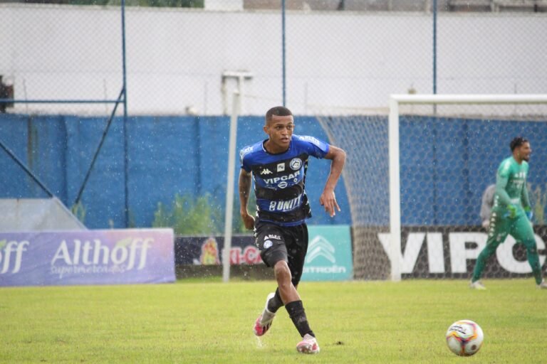 Foto: Divulgação / Tubarão.