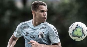 Diretoria do Santos trabalha para renovar com Sandry
