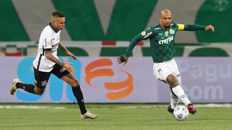 Felipe Melo irá completar 200 jogos com a camisa do Palmeiras e não sabe se terá contrato renovado
