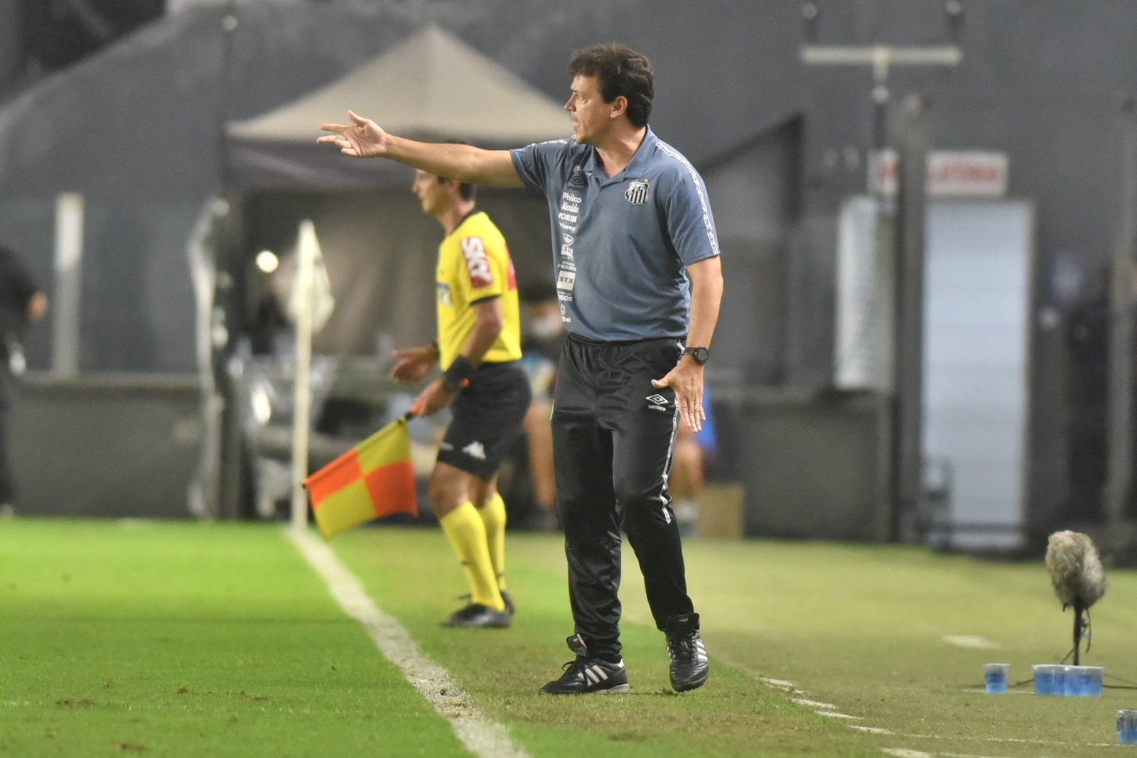 Diniz breca euforia, mas elogia time do Santos e foca em ‘aumentar a confiança’