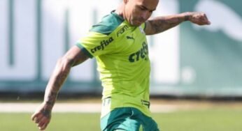 Confira onde assistir, escalações e preparação do Palmeiras para Libertadores