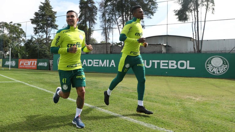 Dudu e Pedrão aguardam relatórios físicos e evolução nos treinos para vestir manto verde