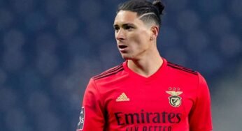 Benfica encaminha venda de Darwin Nunez ao Brighton