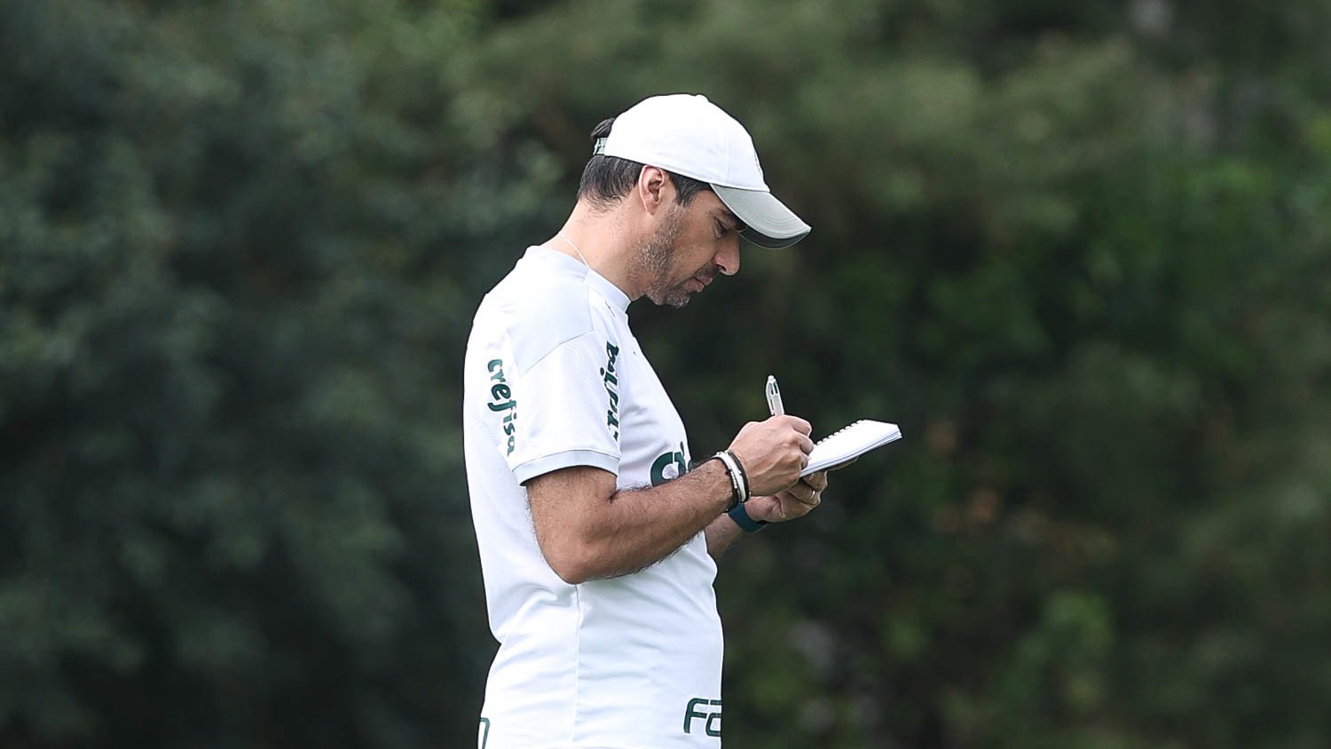 Palmeiras tem time completo para tentar vencer Flamengo na temporada