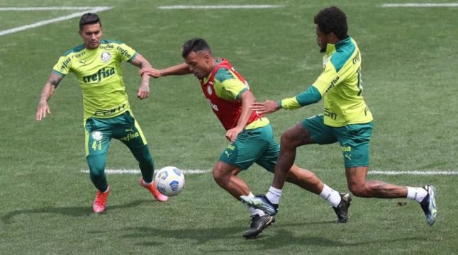 Palmeiras encerra preparação para enfrentar Chape com desfalques