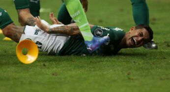Após classificação do Palmeiras, Dudu declara seu amor pelo clube