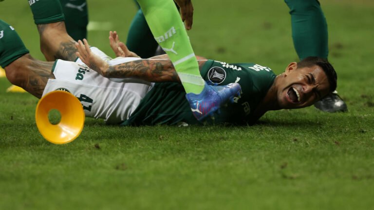 Após classificação do Palmeiras, Dudu declara seu amor pelo clube